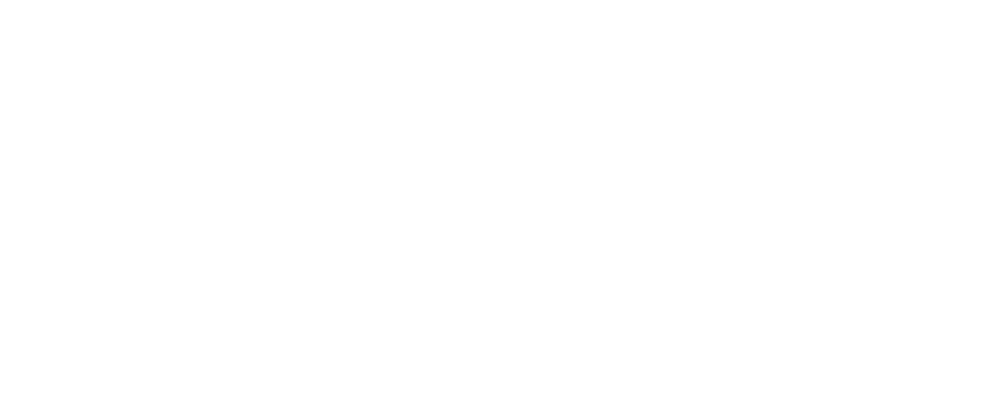 Portuguese flag